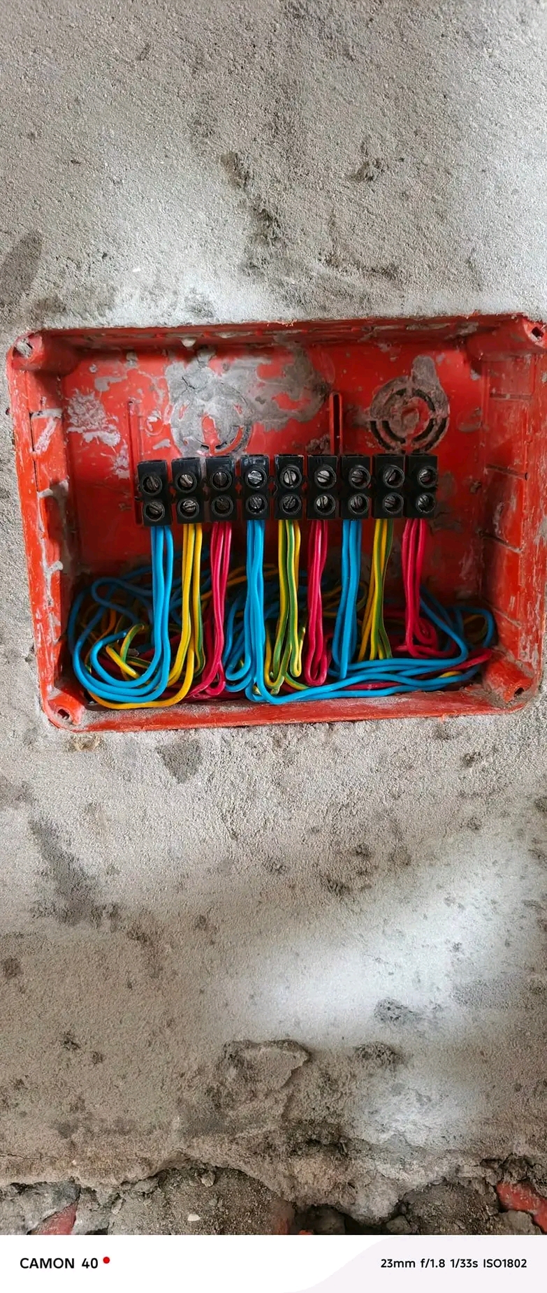 Câblage électrique